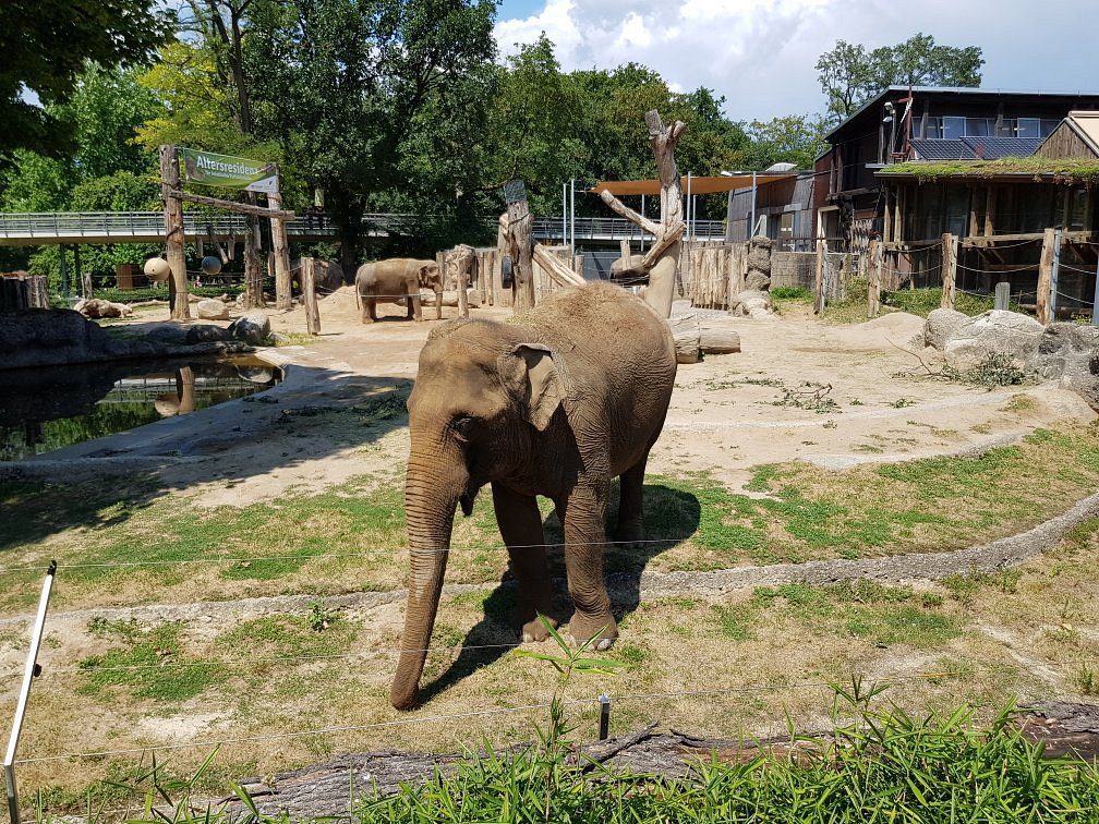 20180717 141137 largejpg