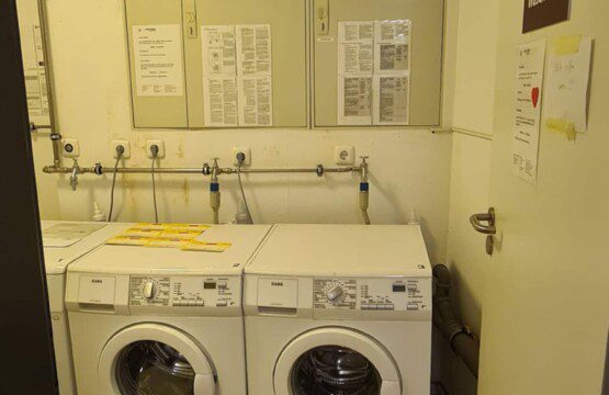 781ff317 65f4 4476 a0da ccb2b30018d9.jpg